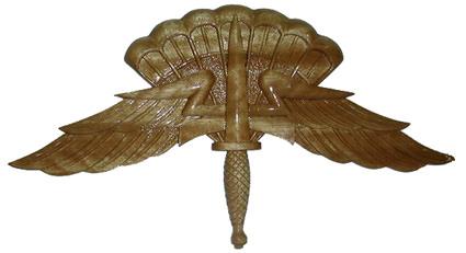 https://www.militaryplaques.com/images/com_hikashop/upload/HALO_Freefall_Parachute_Wings_Insignia_Plaque.jpg