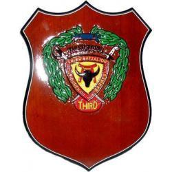 3d Battalion 4th Marines Patch Plaque 