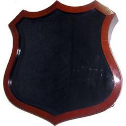 Badge Shaped Display Case