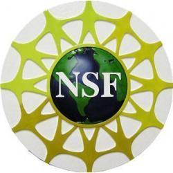 National Science Foundation 