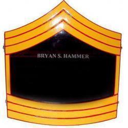 Shadow Box US Marine Corps E8 Painted Finish