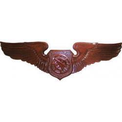 USAF Air Battle Manager Wings