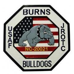 USAF Burns Bulldog