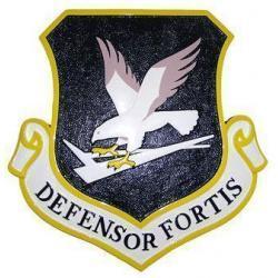 USAF Security Forces Emblem Plaque 