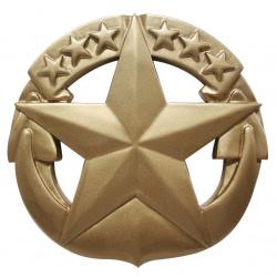 command at sea badge wall plaque