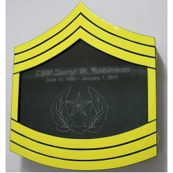 US Marine Corps E-9 Sergeant Major Shadow Box Painted Finish