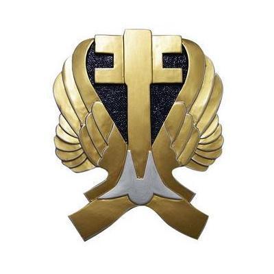 223rd AVN Regt