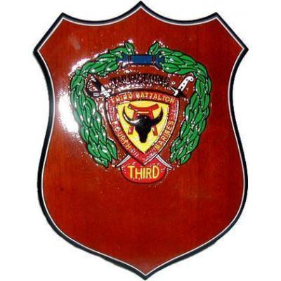 3d Battalion 4th Marines Patch Plaque