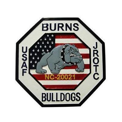 USAF Burns Bulldog