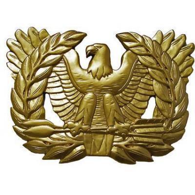 US Navy Warrant Officer Badge