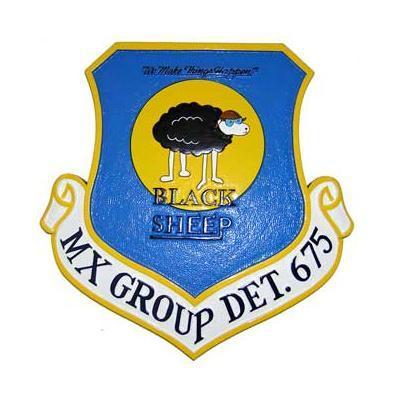 afrotc detachment 675 black sheep squadron plaque