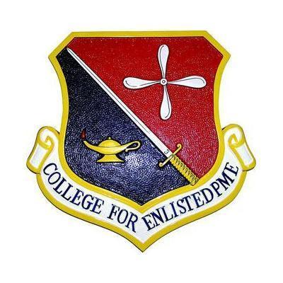 college for enlisted professional military education pme crest plaque