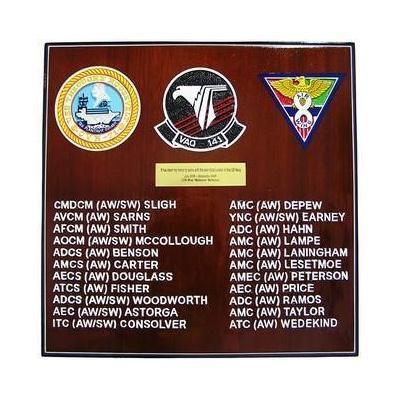 electronic attack squadron 141 navy deployment  plaque