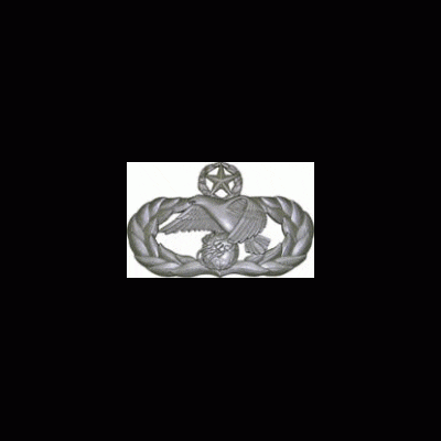 usaf transportation occupational master badge painted plaque