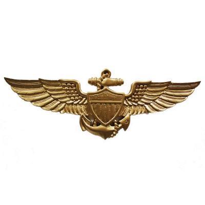 wings insignia badge military plaque