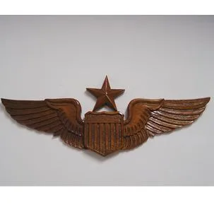 US Army Wings and Insignia